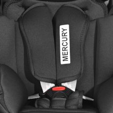 Дитяче автокрісло Lorelli Mercury Rose & Grey, (0-36кг)